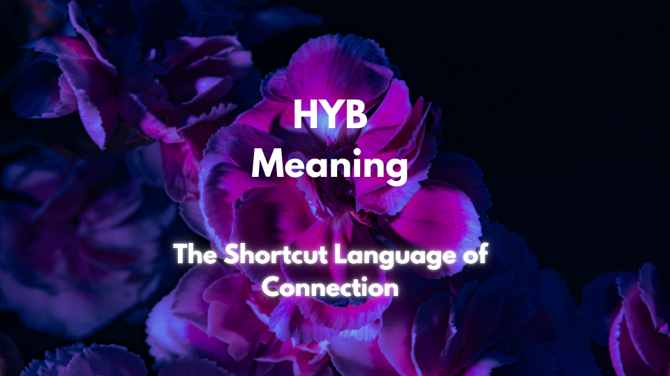 What Does HYB Meaning? Decoding Modern Digital Communication